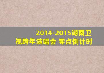 2014-2015湖南卫视跨年演唱会 零点倒计时